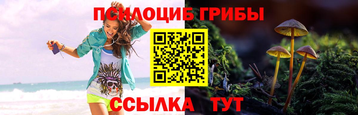 Галлюциногенные грибы мицелий  Вход с VPN  наркота  Нижний Новгород 